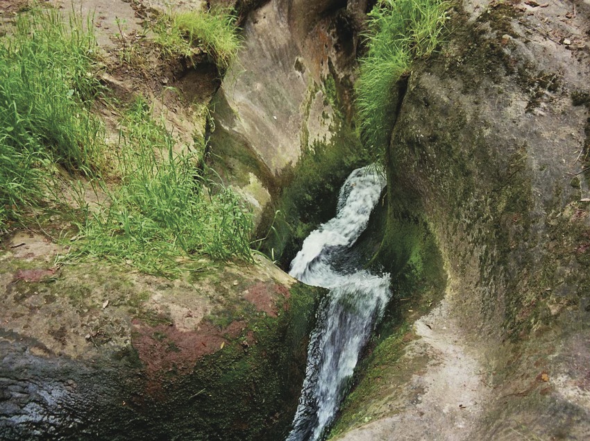 ESPACIOS NATURALES DEL DELTA DEL LLOBREGAT